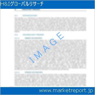 市場と産業調査レポートのイメージ